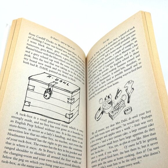 Boy: Tales of Childhood, Paperback Book by Dahl, Roald / ISBN 0141303050 - Picture 7 of 7